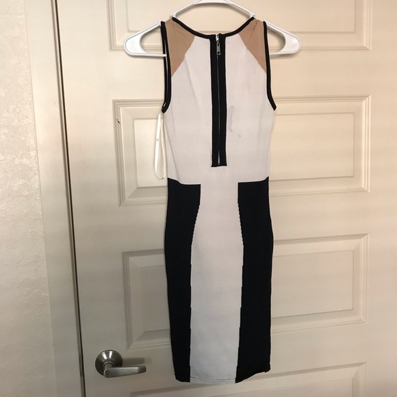 Ronny Kobo Dress - Picture 2 of 5